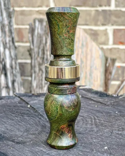 Dyed Elm Burl