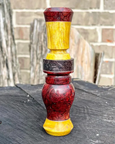 Box Elder